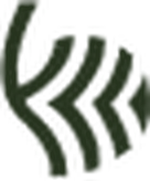 VEVI